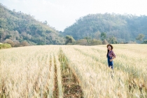 Poder de compra de fertilizantes pelo agricultor melhora em junho