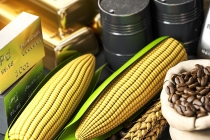Exportação de milho do Brasil cresce 127% no início de novembro, diz Secex
